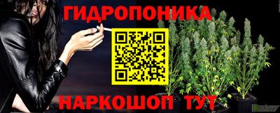 не бодяженный Волгодонск